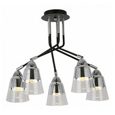 Люстра на штанге EVOLUCE Lirino SLE102902-05