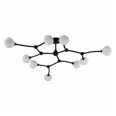 Потолочная люстра Favourite