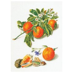 Набор для вышивания Апельсины и мандарины, канва лён 36 ct 33 х 45 см THEA GOUVERNEUR 3061