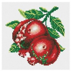 Алмазная мозаика на подрамнике 20*20 см Белоснежка 030-ST-S Спелый гранат