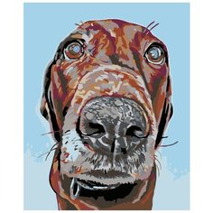 Джек Раскраска картина по номерам на холсте