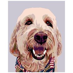 Фараон Раскраска картина по номерам на холсте