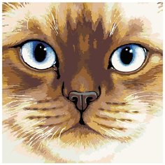 Сиамская кошка Раскраска картина по номерам на холсте