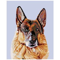 Шелби Раскраска картина по номерам на холсте