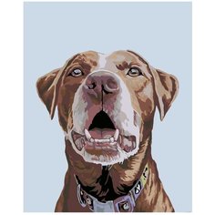 Феликс Раскраска картина по номерам на холсте