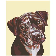 Виноватый вид Раскраска по номерам на холсте Живопись по номерам