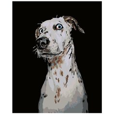 Глория Раскраска картина по номерам на холсте