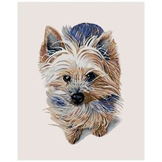 Фидель Раскраска картина по номерам на холсте