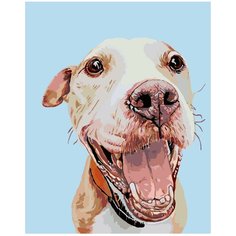 Салли Раскраска картина по номерам на холсте