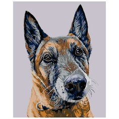 Лорд Раскраска картина по номерам на холсте