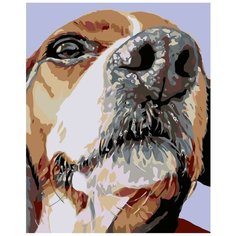 Спотти Раскраска картина по номерам на холсте