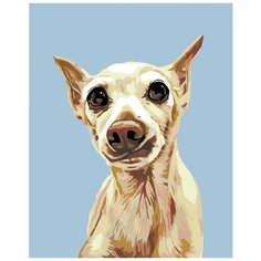 Люсиль Раскраска по номерам на холсте Живопись по номерам