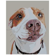 Люси Раскраска картина по номерам на холсте