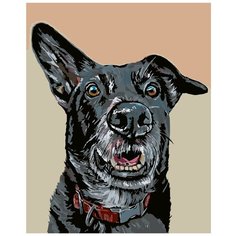 Дружок Раскраска картина по номерам на холсте