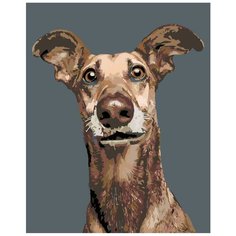 Лео Раскраска картина по номерам на холсте