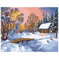Картина по номерам Colibri 40*50см, холст на подрамнике, VA-2385