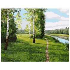 Картина по номерам Colibri 40*50см, холст на подрамнике, VA-1807