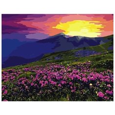Картина по номерам Colibri 40*50см, холст на подрамнике, VA-2334