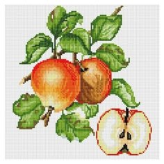 Алмазная мозаика на подрамнике 30 * 30 см Белоснежка 581-ST-S Яблочки