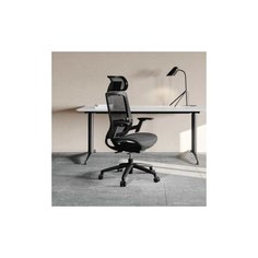 Ортопедическое офисное кресло Xiaomi Youran No.1 Ergonomic Chair 8H Efficiency Grey