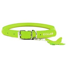 Ошейник collar glamour 22265 круглый для длинношерстных собак зеленый 6 мм* 17-20см (2 шт)