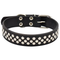 Ошейник 0658ч 2сл 36 мм клепка длина до 60 см черный Zo Oexpress