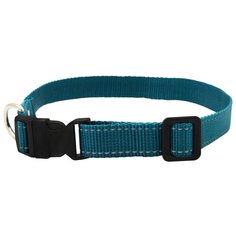 Ошейник 5313мв fresh line 15 мм капрон, светоотражающая нить, фастекс длина 25-40 см морская волна новинка Zo Oexpress