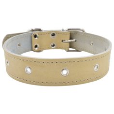 Ошейник 0550б 1сл 36 мм блочка длина до 60 см бежевый новинка (2 шт) Zo Oexpress