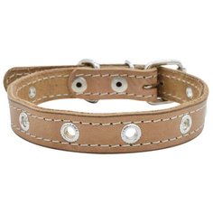 Ошейник 0611б 2сл 18 мм блочка длина до 42 см бежевый новинка (2 шт) Zo Oexpress