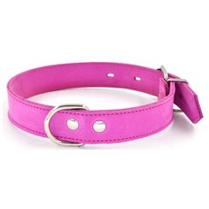 Ошейник 1121р color line 2сл 12 мм нубук длина 21-29 см розовый новинка Zo Oexpress