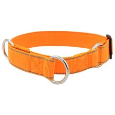 Ошейник 5511а fresh line 20 мм полуудавка с 3 кольцами, капрон, светоотражающая нить длина 30-40 см апельсиновый новинка Zo Oexpress