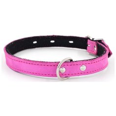 Ошейник 1114р color line 1сл 25 мм нубук/фетр длина 35-45 см розовый новинка Zo Oexpress