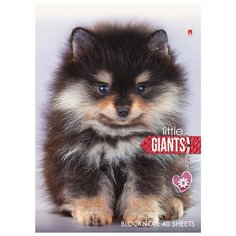 Блокнот Собаки А6 40л на гребне, в асс 3-40-297 Альт