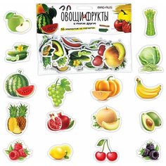 Овощи и фрукты, Анданте (развивающая игра на магнитах, 55 магнитов, пакет, NF1051, серия Познаем мир)