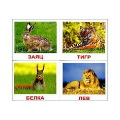 Дикие животные с фактами, Вундеркинд с пеленок (карточки Домана мини, обучающая игра)
