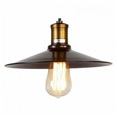 Подвесной светильник Favourite