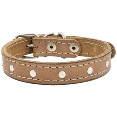 Ошейник 0612б 2сл 18 мм бусинка длина до 42 см бежевый новинка (2 шт) Zo Oexpress