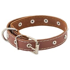 Ошейник Homepet 51220, обхват шеи 32-42 см коричневый