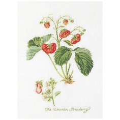 Набор для вышивания Земляника, канва лён 36 ct 26 х 35 см THEA GOUVERNEUR 2085