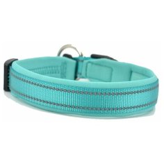 Ошейник легкий с неопреновой подкладкой Petsy (бирюзовый) L