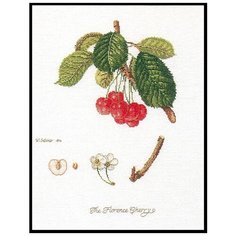 Набор для вышивания Флоренция. Вишни, канва лён 36 ct 26 х 35 см THEA GOUVERNEUR 2058