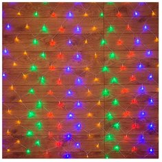 Гирлянда NEON-NIGHT Сеть, 160 LED, 100х150 см, 160 ламп, разноцветный/черный провод