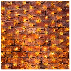 Гирлянда NEON-NIGHT Сеть, 160 LED, 100х150 см, 160 ламп, теплый белый/черный провод