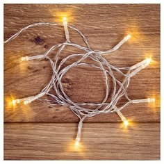 Гирлянда NEON-NIGHT 303-073, 10 ламп, теплый белый/прозрачный провод