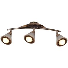 Светильник потолочный поворотный Reluce E14 00640-0.3-03DA FGD+WD