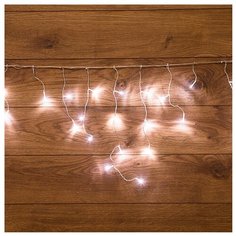 Гирлянда NEON-NIGHT 255-015, 48 ламп, белый/прозрачный провод