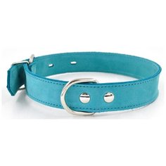 Ошейник 1123б color line 2сл 18 мм нубук длина 30-39 см бирюзовый новинка Zo Oexpress