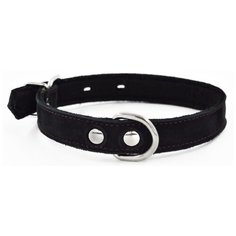 Ошейник 1114ч color line 1сл 25 мм нубук/фетр длина 35-45 см черный новинка Zo Oexpress