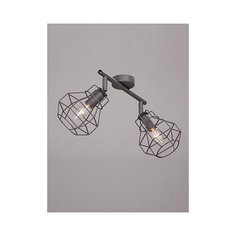 Спот Vitaluce V4883-2/2PL