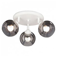 Спот Vitaluce 4311 V4311-0/3PL